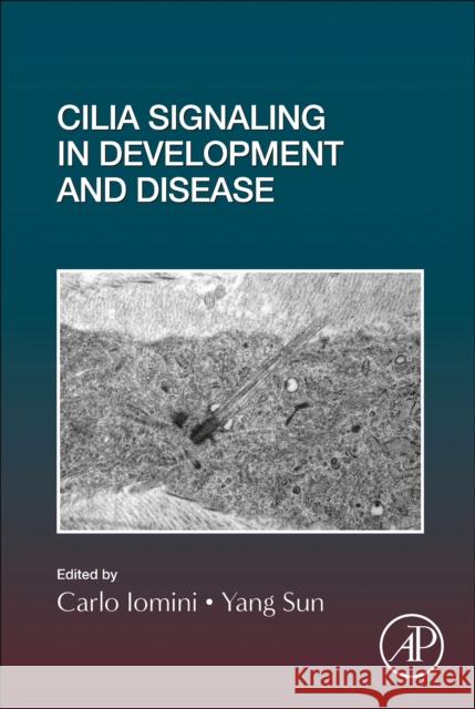 Cilia Signaling in Development and Disease Carlo Iomini Yang Sun 9780128201596 Academic Press - książka
