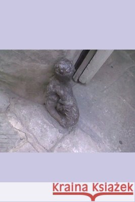 Círculo naranja Angela, Michelle 9781711132112 Independently Published - książka