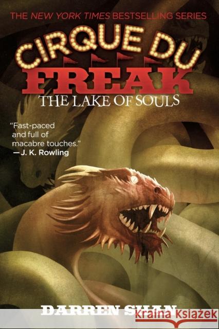 Cirque Du Freak #10: The Lake of Souls: Book 10 in the Saga of Darren Shan Shan, Darren 9780316016650 Little Brown and Company - książka