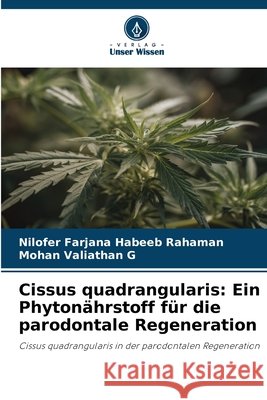 Cissus quadrangularis: Ein Phyton?hrstoff f?r die parodontale Regeneration Nilofer Farjana Habee Mohan Valiathan G 9786139735068 Verlag Unser Wissen - książka