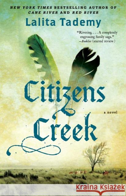 Citizens Creek Lalita Tademy 9781476753041 Atria Books - książka