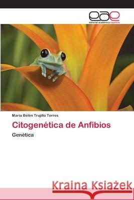 Citogenética de Anfibios Trujillo Torres, María Belén 9786202122443 Editorial Académica Española - książka