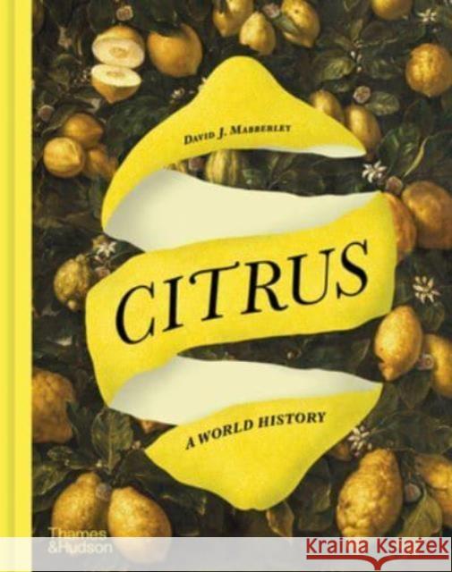 Citrus: A World History David J. Mabberley 9780500026366 Thames & Hudson Ltd - książka