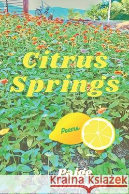 Citrus Springs Paige Johnson 9781960882141 Outcast Press LLC - książka