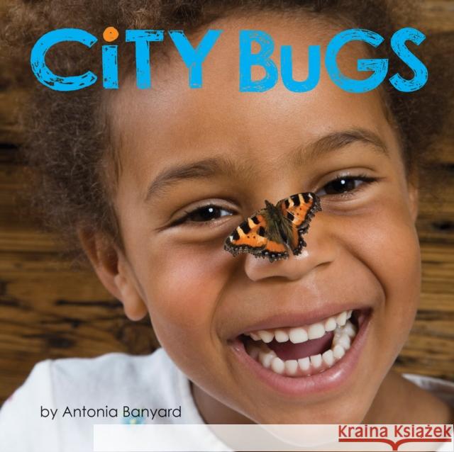 City Bugs  9781773210698 Annick Press - książka