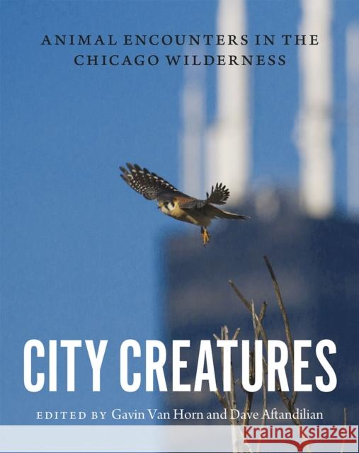 City Creatures: Animal Encounters in the Chicago Wilderness Gavin Va David Aftandilian 9780226192895 University of Chicago Press - książka