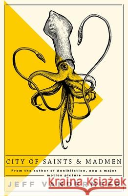 City of Saints and Madmen Jeff VanderMeer 9781509848157 Ambergris - książka
