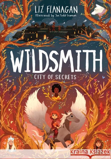 City of Secrets: The Wildsmith #2 Liz Flanagan 9781915235077 UCLan Publishing - książka