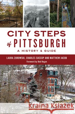 City Steps of Pittsburgh: A History & Guide Matthew Jacob 9781467156721 History Press - książka