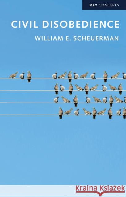 Civil Disobedience Scheuerman, William E. 9781509518630 John Wiley & Sons - książka