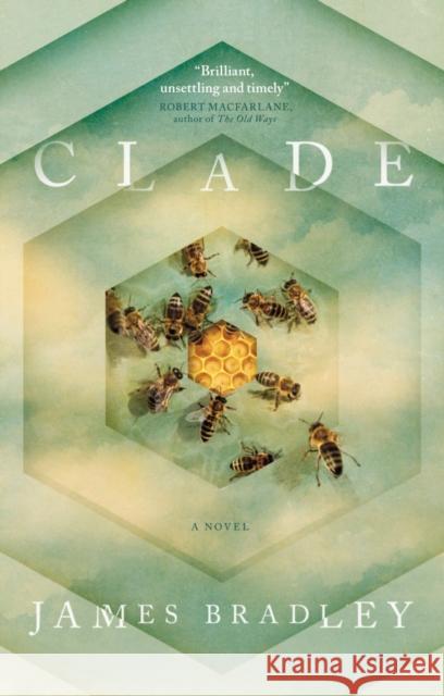 Clade James Bradley 9781785654145 Titan Books (UK) - książka