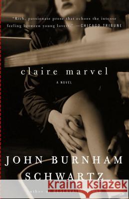 Claire Marvel John Burnham Schwartz 9780375719158 Vintage Books USA - książka