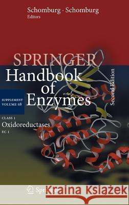 Class 1 Oxidoreductases: EC 1 Schomburg, Dietmar 9783642362644 Springer - książka