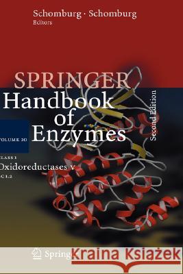 Class 1 Oxidoreductases V: EC 1.2 Chang, Antje 9783540225140 Springer - książka