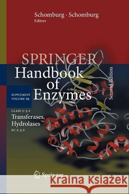 Class 2-3.2 Transferases, Hydrolases: EC 2-3.2 Schomburg, Dietmar 9783642431296 Springer - książka