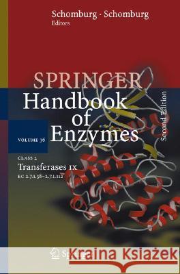 Class 2 . Transferases IX: EC 2.7.1.38 - 2.7.1.112 Schomburg, Dietmar 9783540478072 SPRINGER-VERLAG BERLIN AND HEIDELBERG GMBH &  - książka