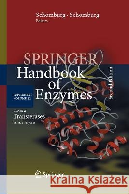 Class 2 Transferases: EC 2.1-2.7.10 Chang, Antje 9783662502198 Springer - książka