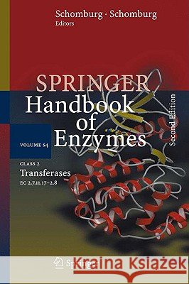 Class 2 Transferases: EC 2.7.11.17-2.8 Dietmar Schomburg, Ida Schomburg, Antje Chang 9783540857006 Springer-Verlag Berlin and Heidelberg GmbH &  - książka