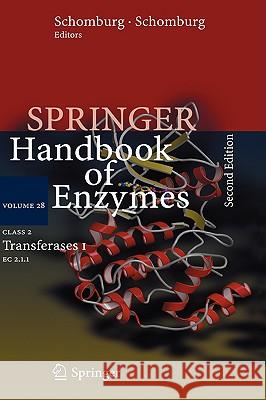 Class 2 Transferases I: EC 2.1.1 Chang, Antje 9783540319177 Springer - książka
