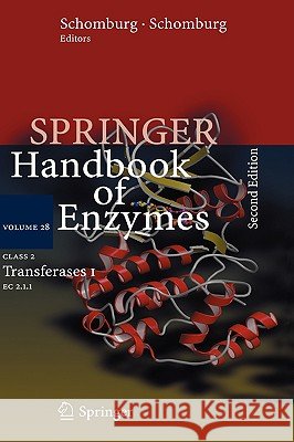 Class 2 Transferases I: EC 2.1.1 Chang, Antje 9783540319177 Springer - książka