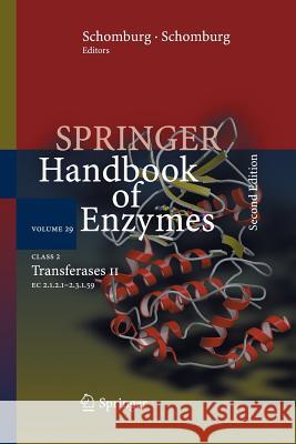 Class 2 Transferases II: EC 2.1.2.1 - 2.3.1.59 Schomburg, Dietmar 9783642426667 Springer - książka