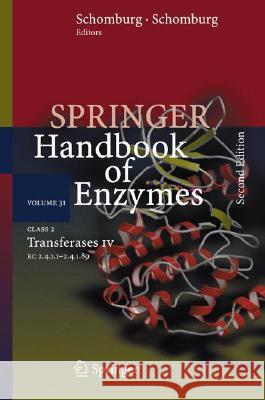 Class 2 Transferases IV: EC 2.4.1.1 - 2.4.1.89 Schomburg, Dietmar 9783540325925 Springer - książka