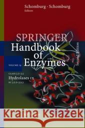 Class 3.2 - 3.5 Hydrolases IX: EC 3.2.2 - 3.5.3 Schomburg, Dietmar 9783540009092 Springer - książka