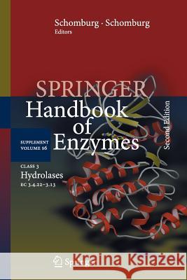 Class 3 Hydrolases: EC 3.4.22-3.13 Chang, Antje 9783662502181 Springer - książka