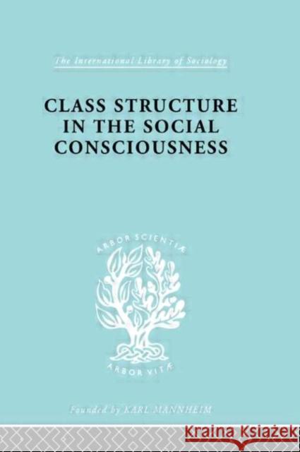 Class Struc Soc Conscn Ils 104 Stanislaw Ossowski Sheila Patterson 9780415176187 Routledge - książka