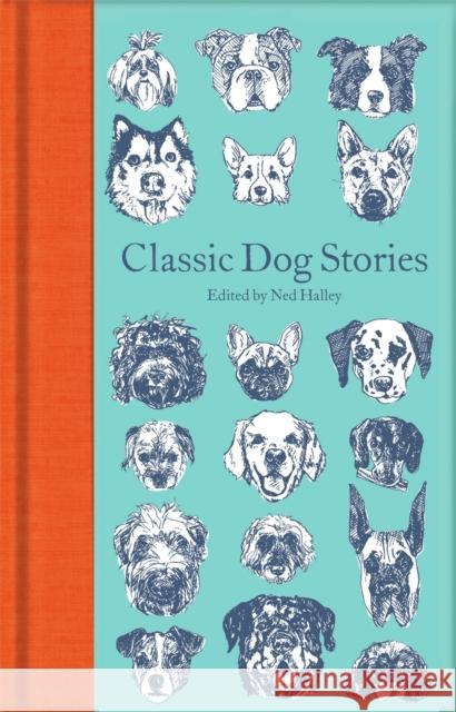 Classic Dog Stories Various 9781529021059 Pan Macmillan - książka
