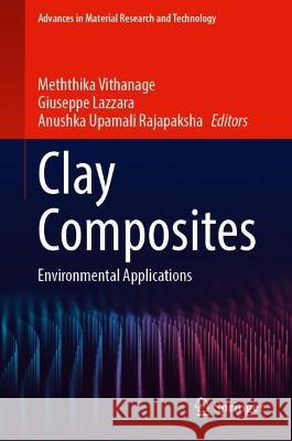 Clay Composites  9789819925438 Springer Nature Singapore - książka