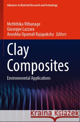 Clay Composites  9789819925469 Springer Nature Singapore - książka