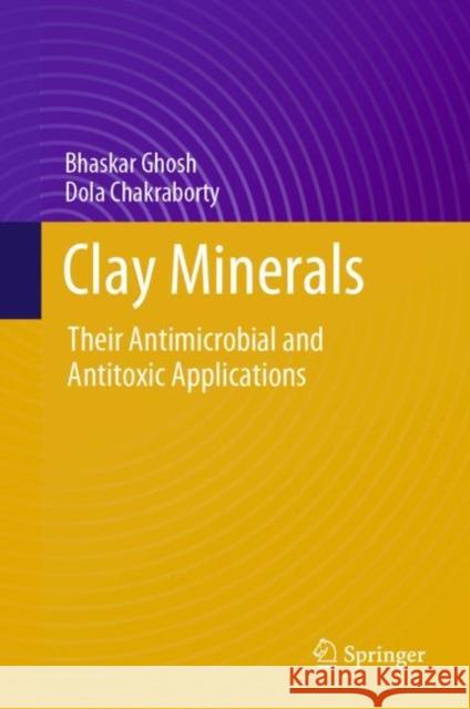 Clay Minerals: Their Antimicrobial and Antitoxic Applications Bhaskar Ghosh Dola Chakraborty 9783031223266 Springer - książka