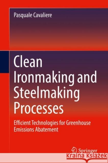 Clean Ironmaking and Steelmaking Processes: Efficient Technologies for Greenhouse Emissions Abatement Cavaliere, Pasquale 9783030212087 Springer - książka