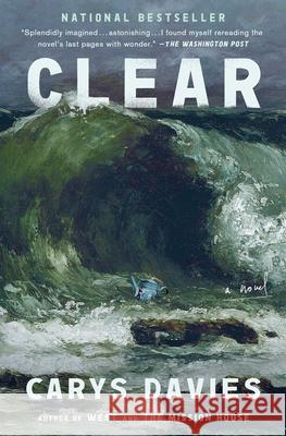 Clear Carys Davies 9781668030677 Scribner Book Company - książka