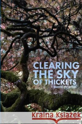 Clearing the Sky of Thickets David Porter 9780359248391 Lulu.com - książka
