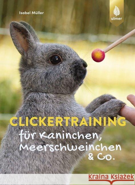 Clickertraining für Kaninchen, Meerschweinchen & Co. Müller, Isabel 9783818605667 Verlag Eugen Ulmer - książka