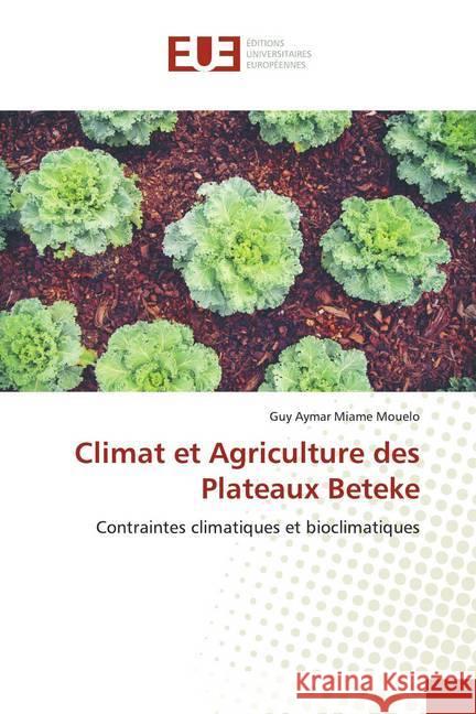 Climat et Agriculture des Plateaux Beteke : Contraintes climatiques et bioclimatiques Miame Mouelo, Guy Aymar 9786139519422 Éditions universitaires européennes - książka