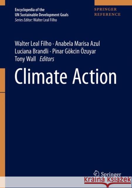 Climate Action Walter Lea Ulisses Azeiteiro Anabela Marisa Azul 9783319958842 Springer - książka