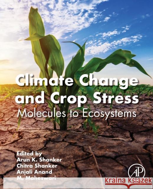 Climate Change and Crop Stress: Molecules to Ecosystems Arun K Chitra Shanker Anjali Anand 9780128160916 Academic Press - książka