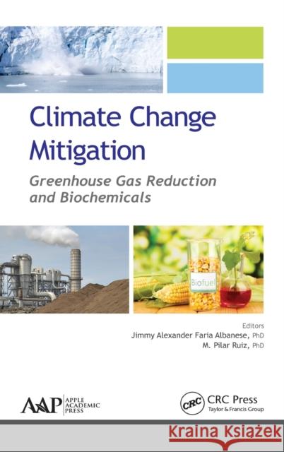 Climate Change Mitigation: Greenhouse Gas Reduction and Biochemicals Jimmy Alexander Fari M. Pilar Ruiz Jimmy Alexander Faria Albanese 9781771882422 Apple Academic Press - książka