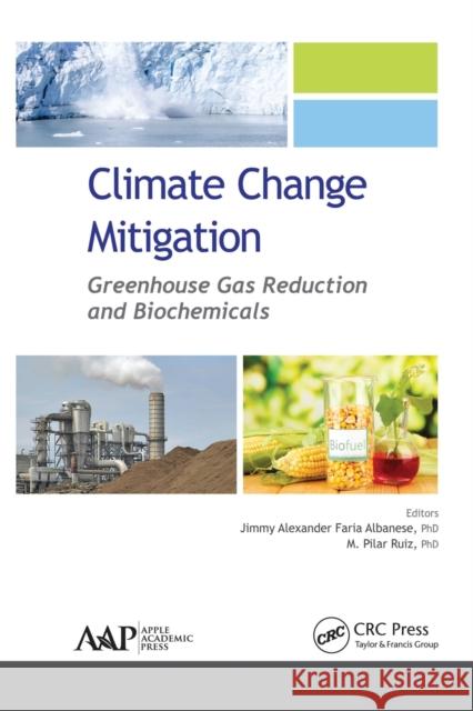 Climate Change Mitigation: Greenhouse Gas Reduction and Biochemicals Jimmy Alexander Faria Albanese M. Pilar Ruiz 9781774635711 Apple Academic Press - książka