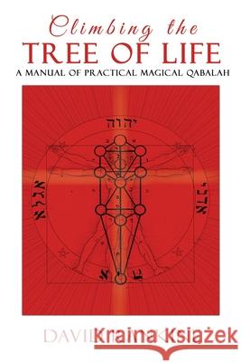 Climbing the Tree of Life: A Manual of Practical Magickal Qabalah David Rankine 9781910191347 Avalonia - książka