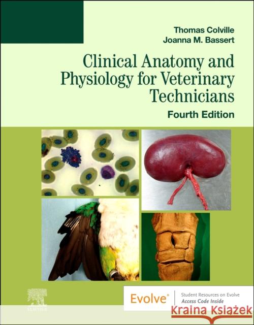 Clinical Anatomy and Physiology for Veterinary Technicians Joanna M. (Professor Emeritus Program of Veterinary Technology Manor College Jenkintown, PA) Bassert 9780323793414 Elsevier - Health Sciences Division - książka