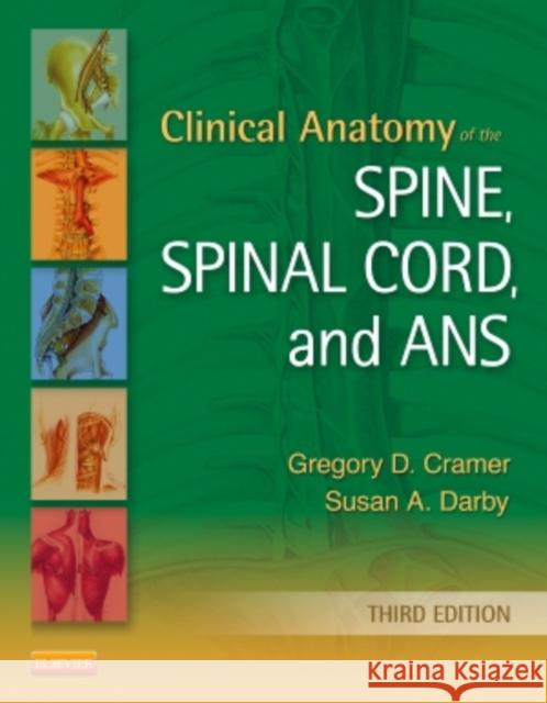 Clinical Anatomy of the Spine, Spinal Cord, and ANS Gregory D. Cramer Susan A. Darby 9780323079549 Mosby - książka