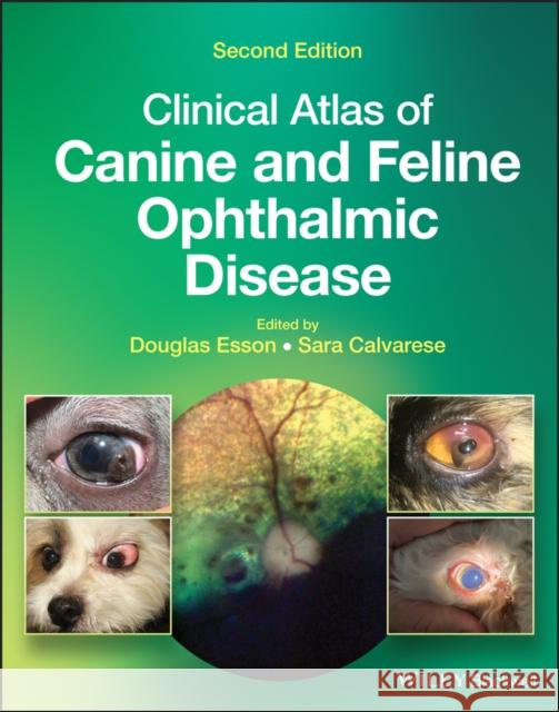 Clinical Atlas of Canine and Feline Ophthalmic Disease Calvarese, Sara 9781119665847 John Wiley and Sons Ltd - książka