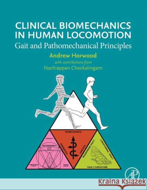 Clinical Biomechanics in Human Locomotion: Gait and Pathomechanical Principles Horwood, Andrew 9780443158605 Elsevier Science Publishing Co Inc - książka