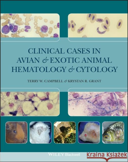 Clinical Cases in Avian and Exotic Animal Hematology and Cytology Terry W. Campbell Krystan Grant 9780813816616 Wiley-Blackwell - książka