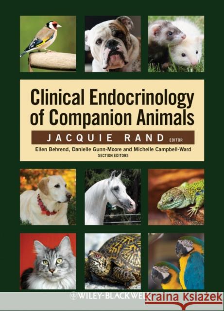 Clinical Endocrinology of Companion Animals Jacquie Rand 9780813805832  - książka