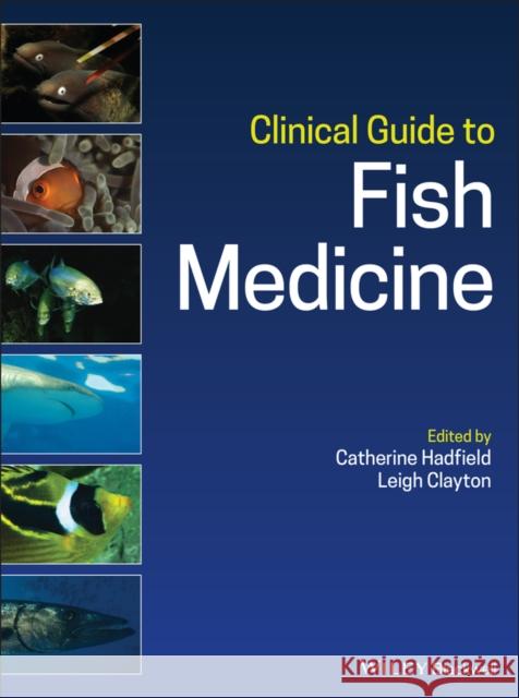 Clinical Guide to Fish Medicine Catherine Hadfield Leigh Clayton 9781119259558 Wiley-Blackwell - książka